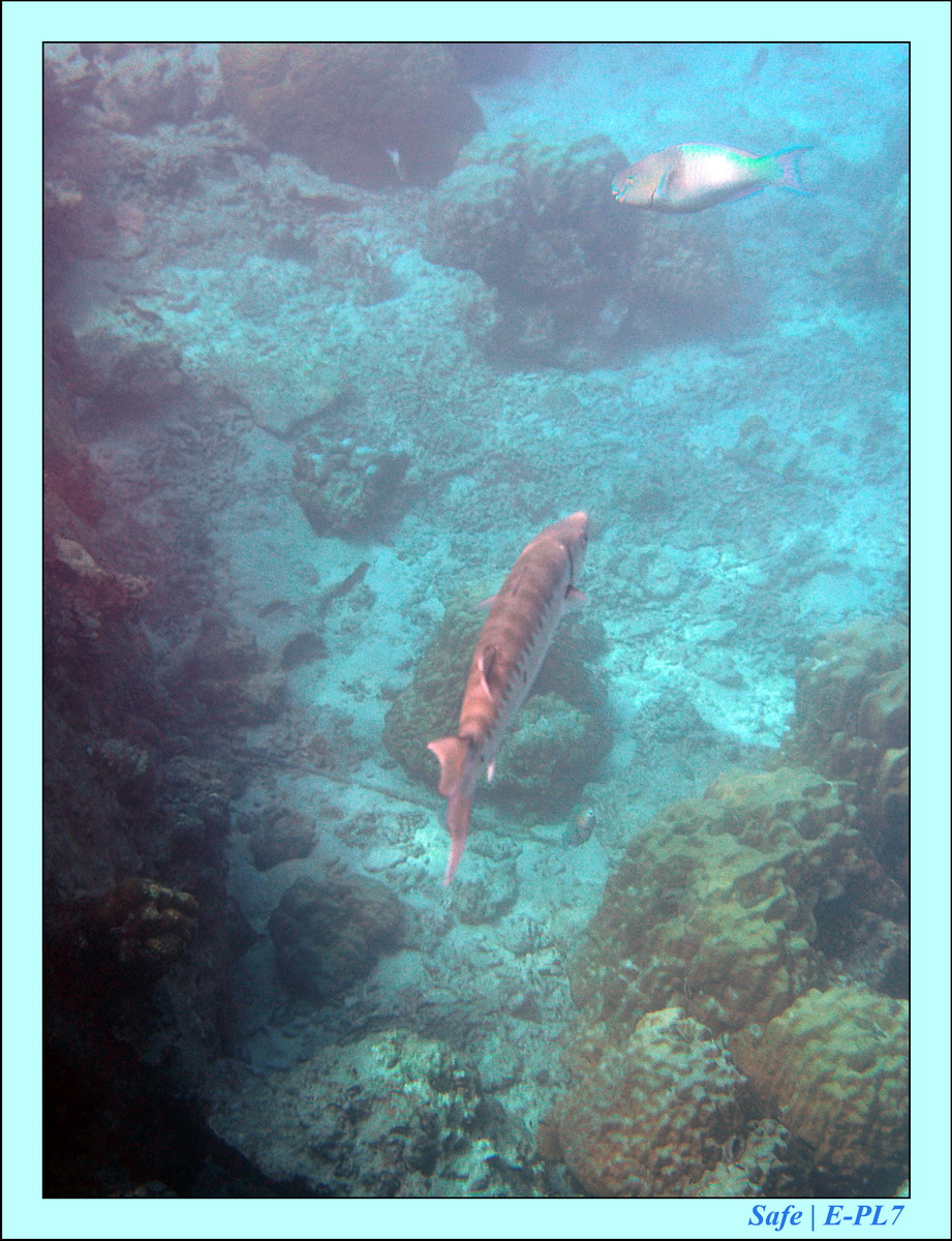 2016 - 07 - Leng Tengah - 057